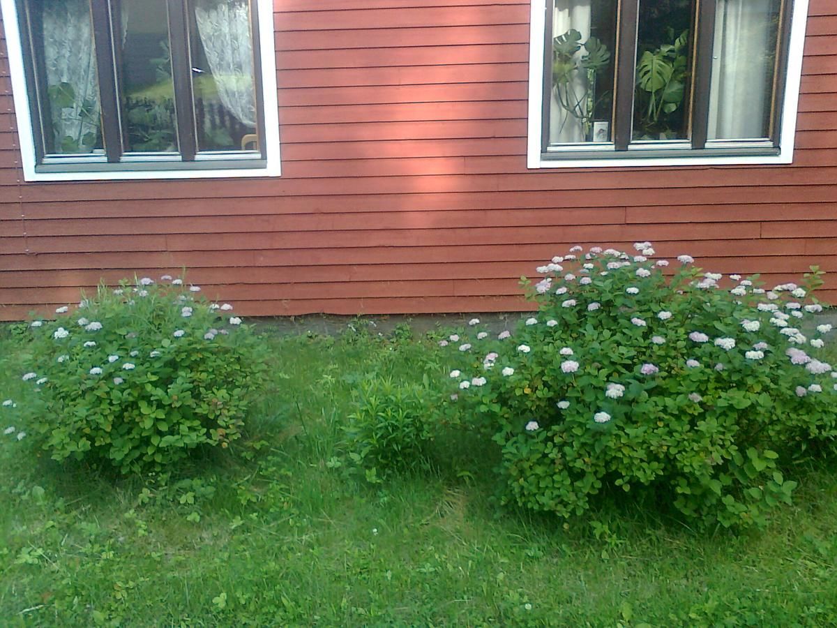 Отели типа «постель и завтрак» Paulas Cottage B&B Lappila-21