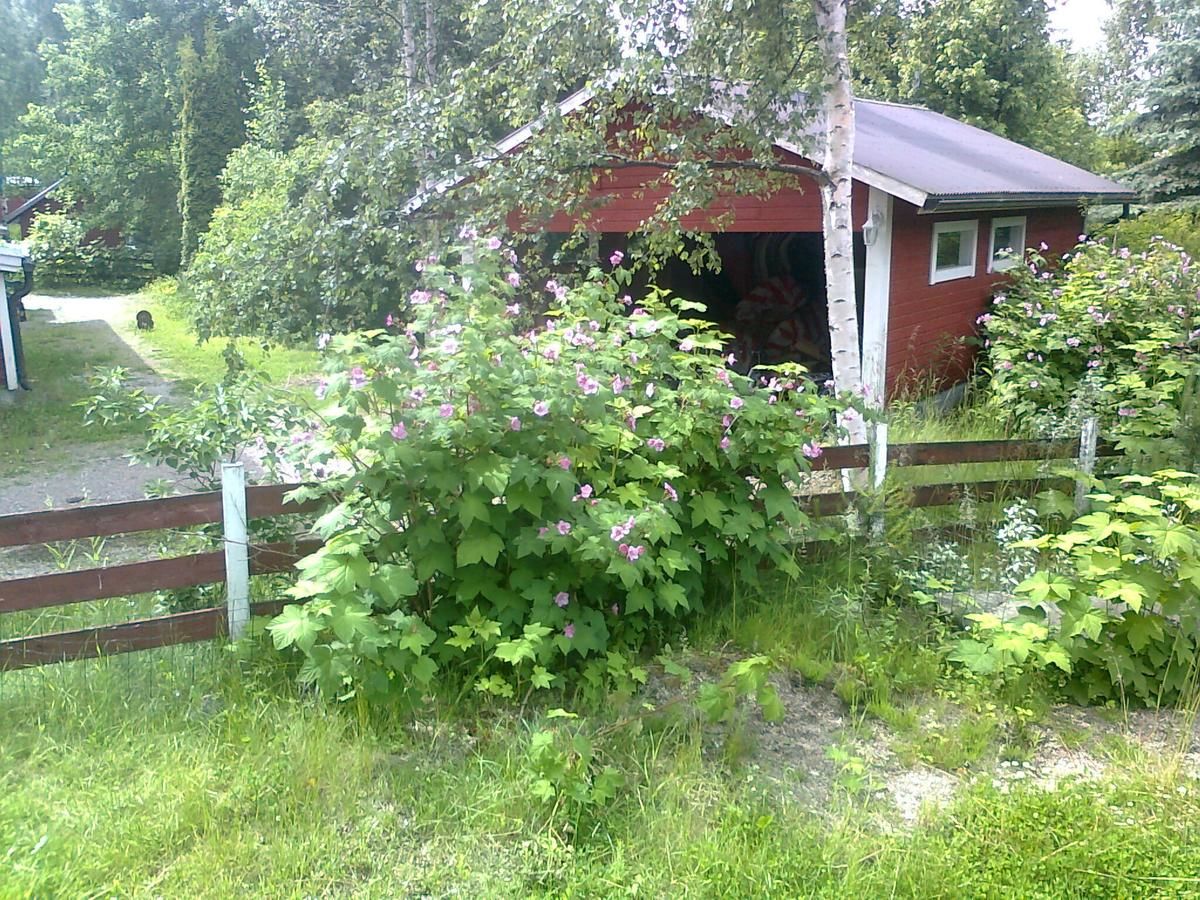 Отели типа «постель и завтрак» Paulas Cottage B&B Lappila