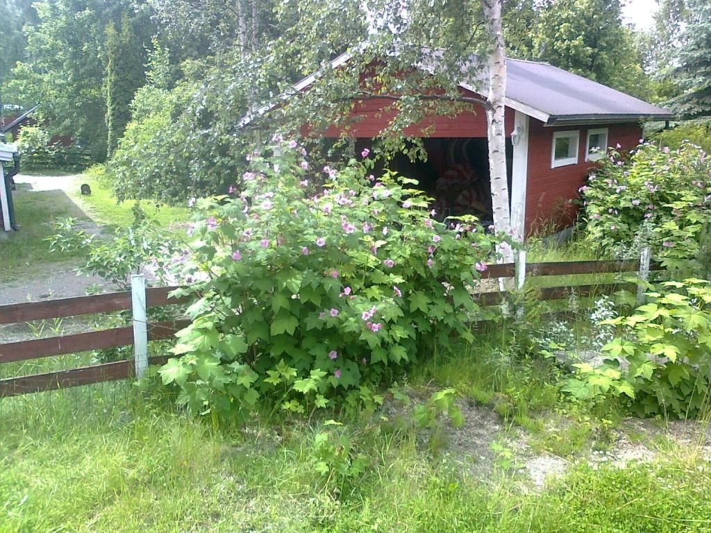 Отели типа «постель и завтрак» Paulas Cottage B&B Lappila