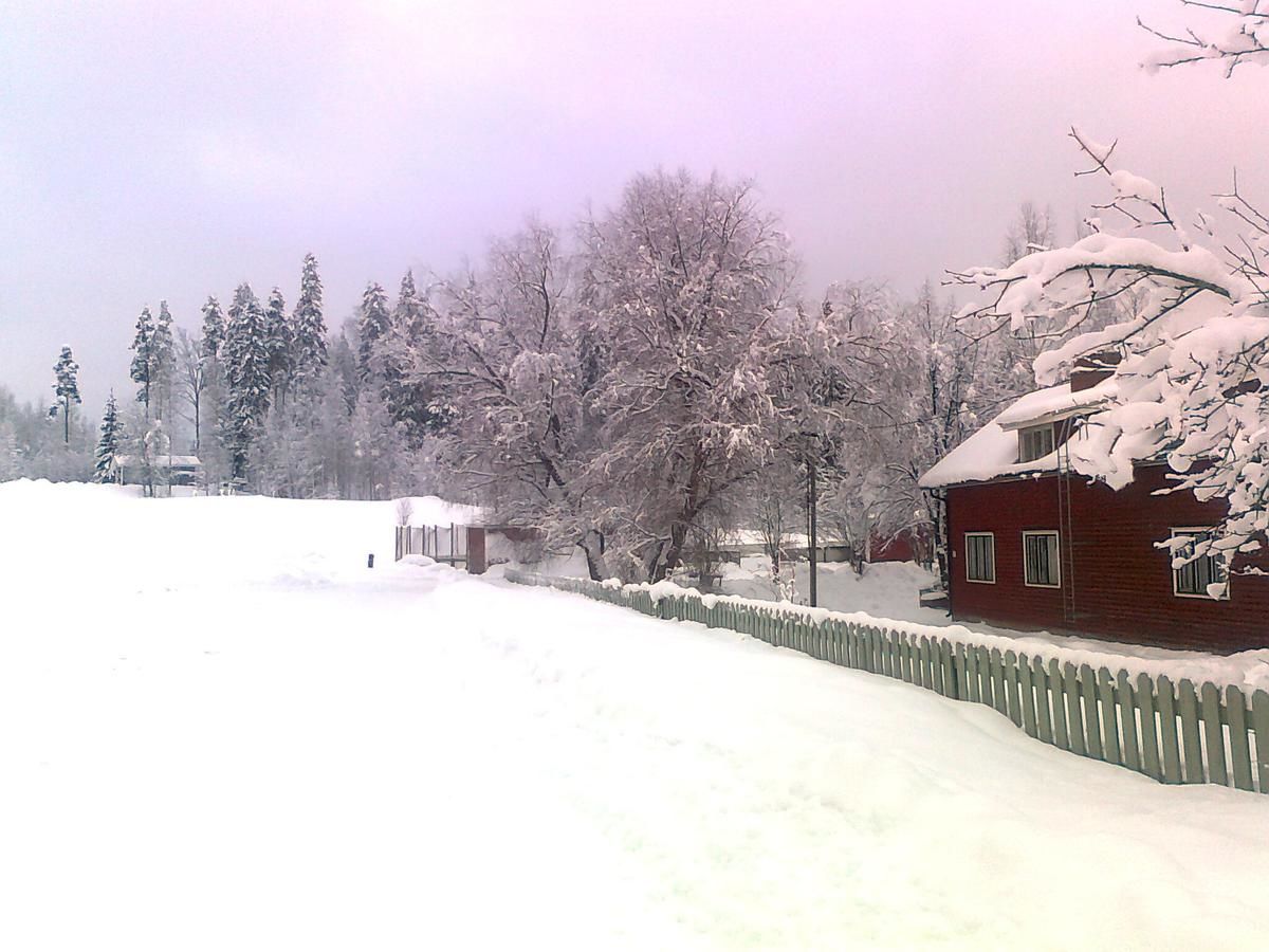 Отели типа «постель и завтрак» Paulas Cottage B&B Lappila
